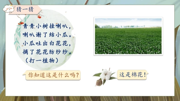 【核心素养】部编版语文一年级下册-18. 棉花姑娘 第1课时（课件）