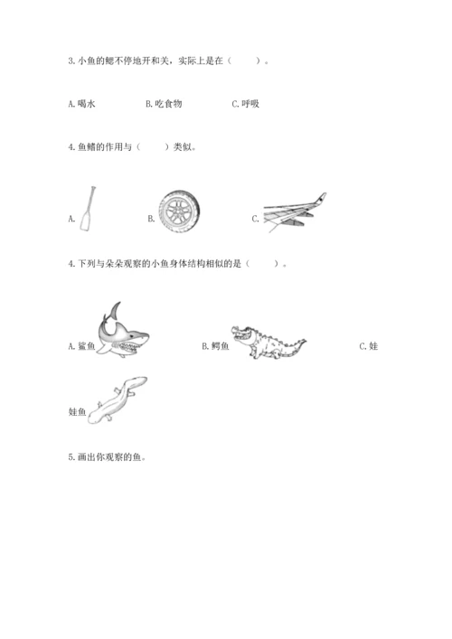 教科版一年级下册科学期末测试卷【预热题】.docx