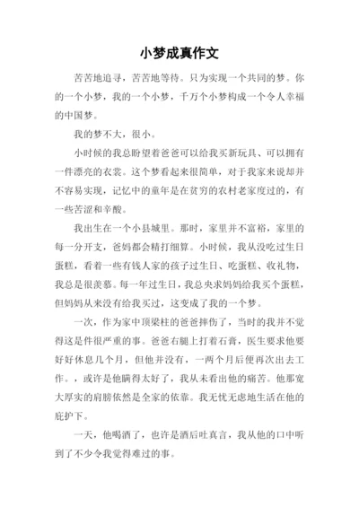 小梦成真作文.docx