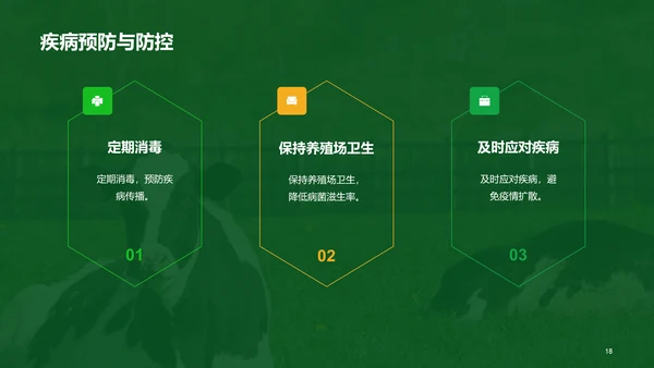 绿色现代养殖流程管理与疾病预防PPT模板
