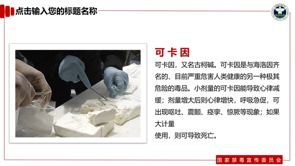 青少年预防不良行为禁毒教育PPT课件