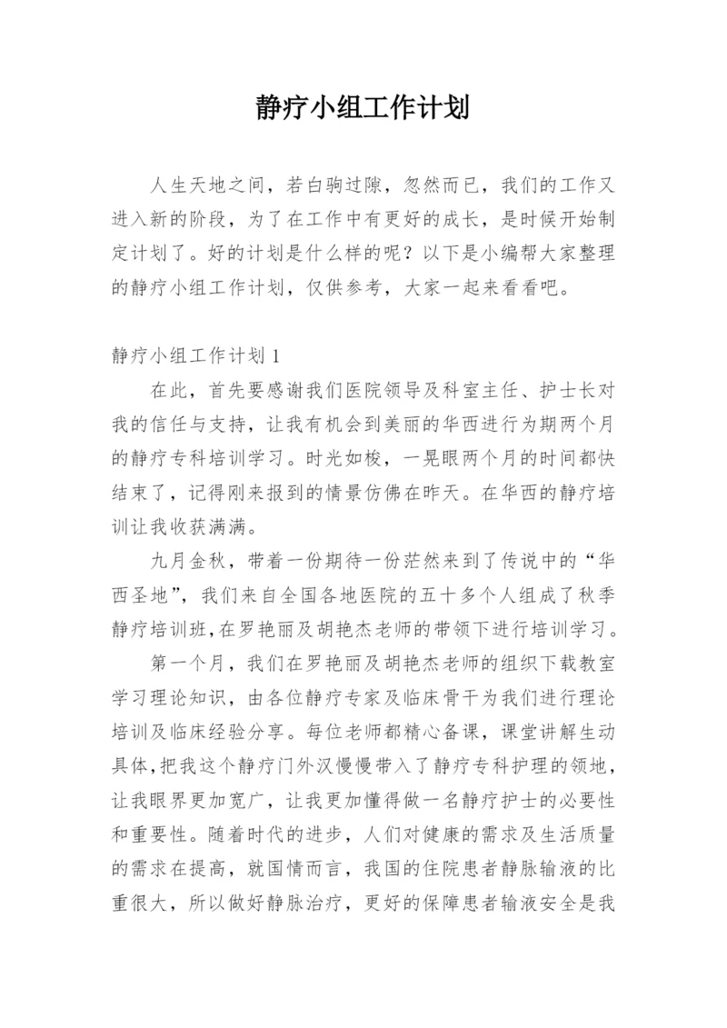 静疗小组工作计划.docx