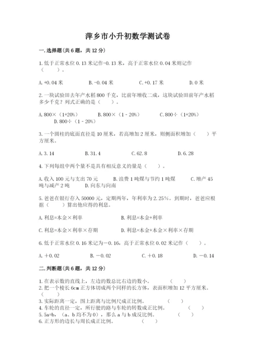 萍乡市小升初数学测试卷汇编.docx