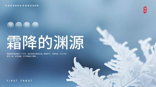 彩色实拍霜降二十四节气PPT课件
