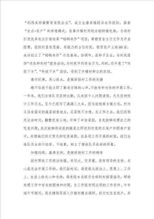 2021年驻村扶贫工作网