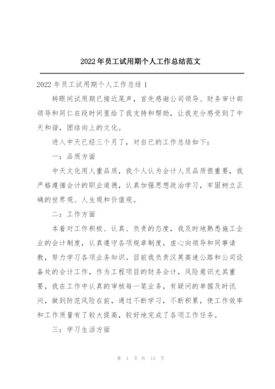 2022年员工试用期个人工作总结范文.docx