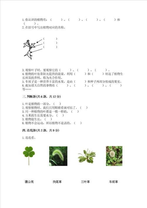 教科版科学一年级上册第一单元植物测试卷夺冠系列