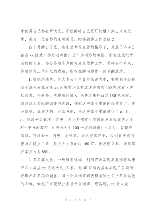 终端销售工作总结.docx