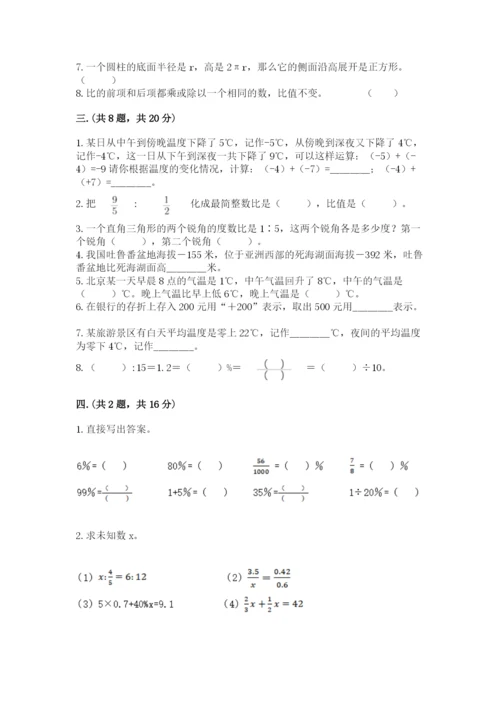 苏教版六年级数学小升初试卷精品【能力提升】.docx