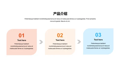 扁平PPT产品介绍