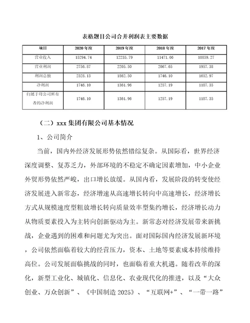 吉林省关于成立压缩机公司可行性分析报告范文模板