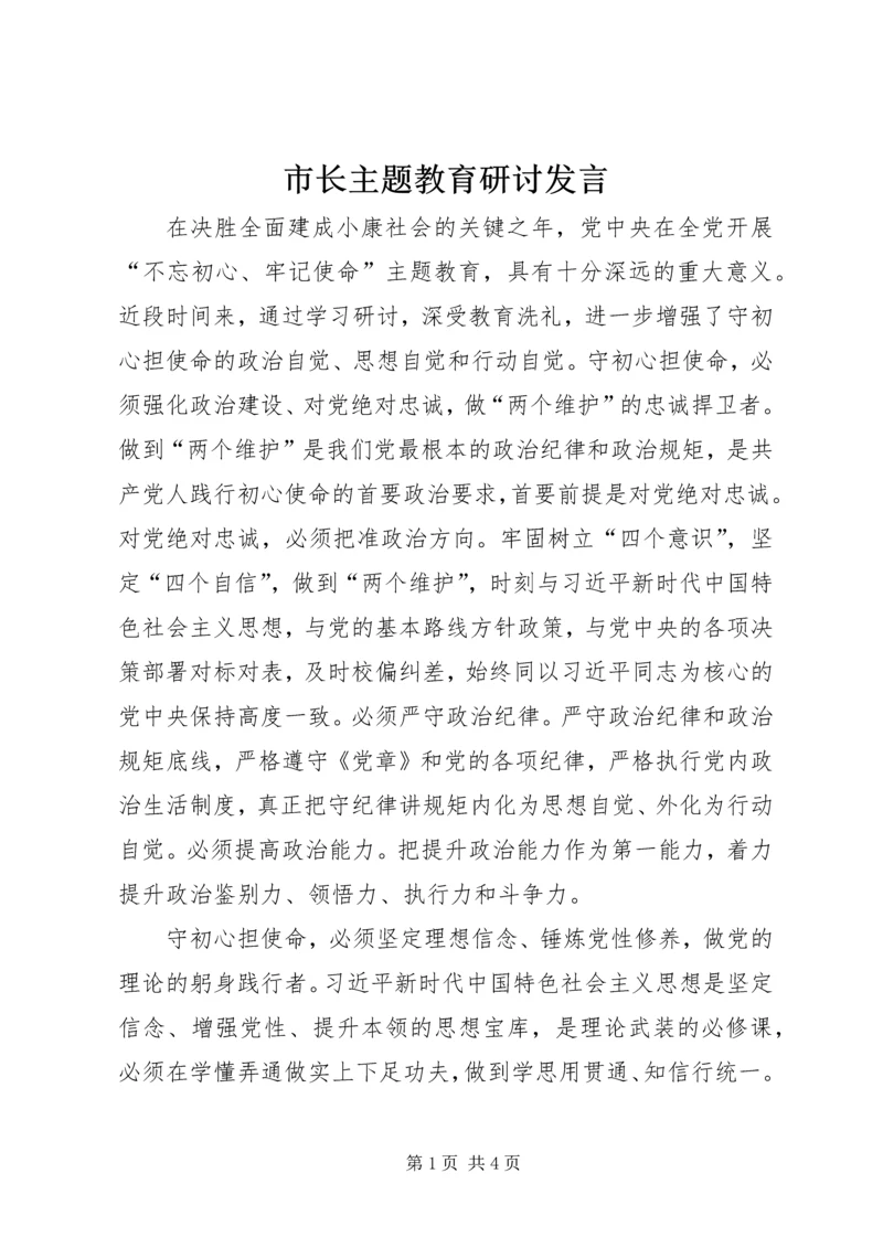 市长主题教育研讨发言.docx