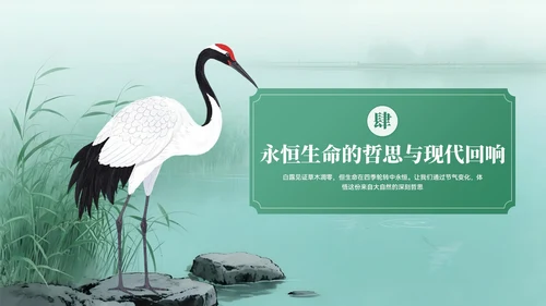 绿色系中国风白露节气介绍PPT模板