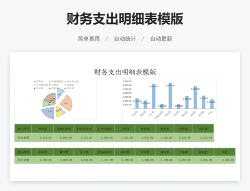 财务支出明细表模版