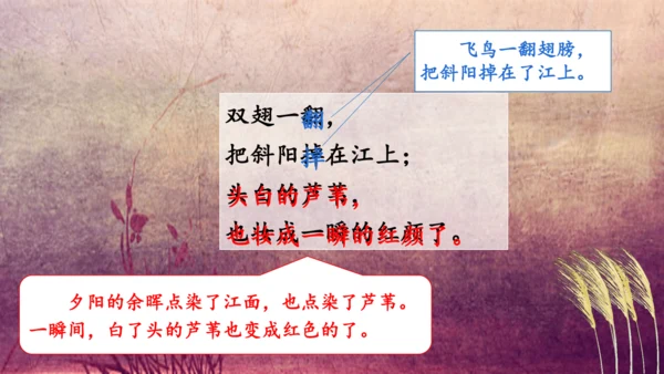 3.《现代诗二首》课件
