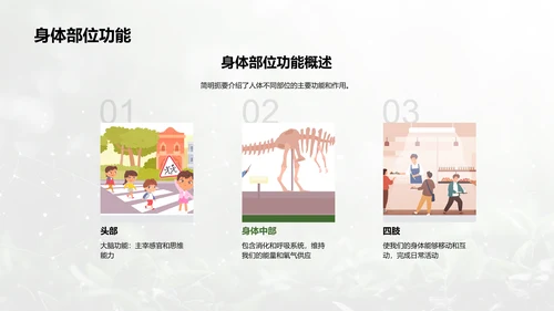 人体系统协作讲座PPT模板