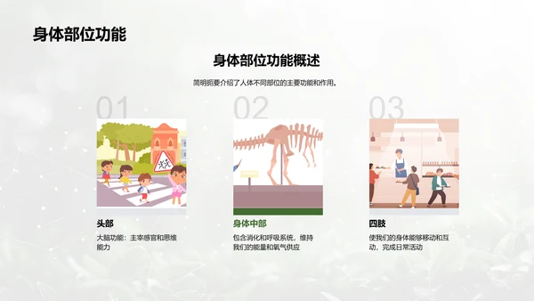 人体系统协作讲座PPT模板