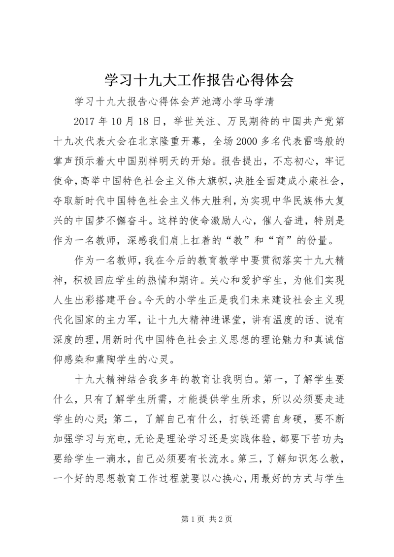 学习十九大工作报告心得体会_1 (4).docx