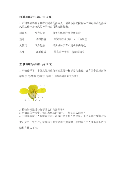 科学四年级下册第一单元《植物的生长变化》测试卷附答案【研优卷】.docx
