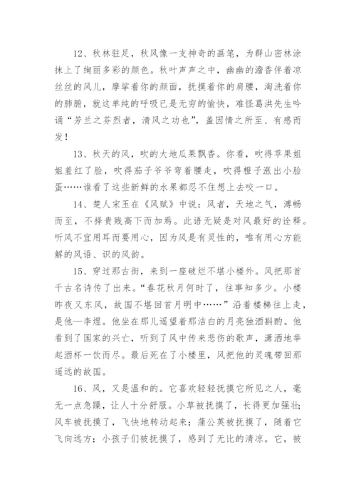 写风的优美段落.docx