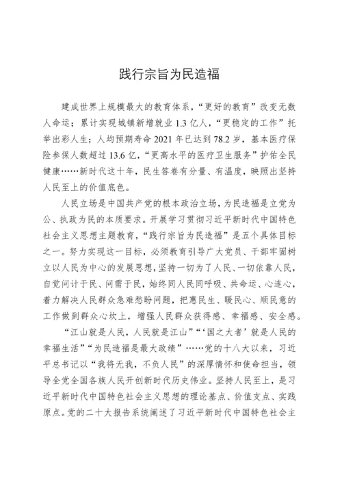 践行宗旨为民造福.docx