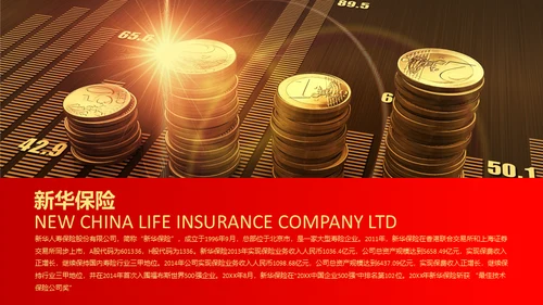 金融理财新华保险公司介绍通用PPT模板