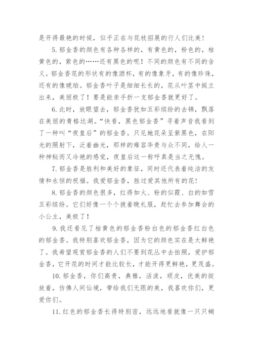 郁金香的句子.docx