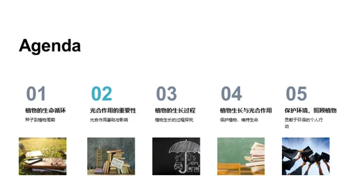 绿色生命：揭秘植物