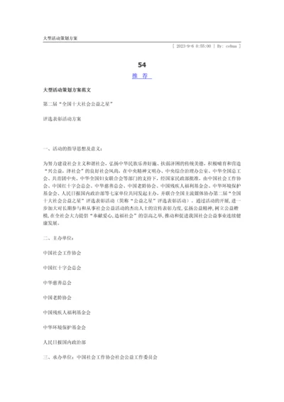 大型活动策划方案.docx