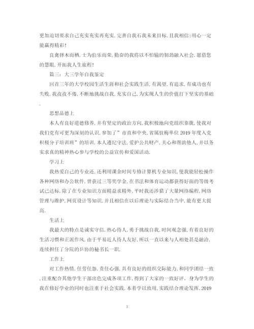 精编之关于大三学生的自我鉴定范文.docx