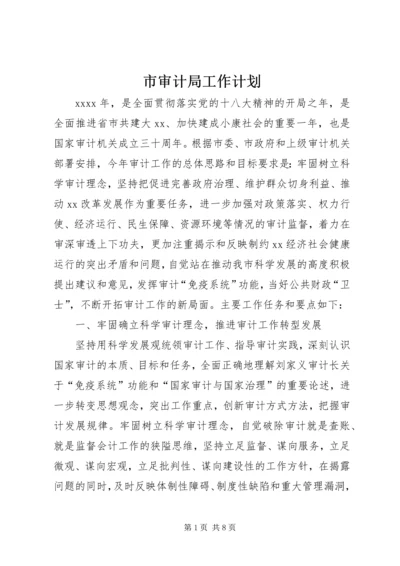 市审计局工作计划.docx