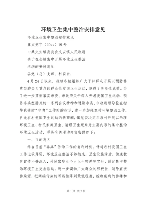 环境卫生集中整治安排意见精编.docx