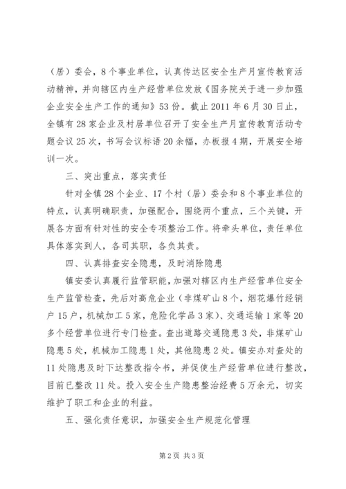 乡镇开展安全生产月宣传教育活动情况总结.docx
