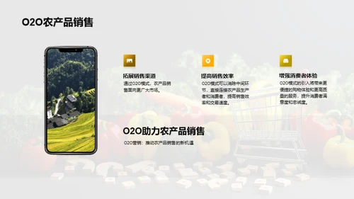 O2O农产品直销策略