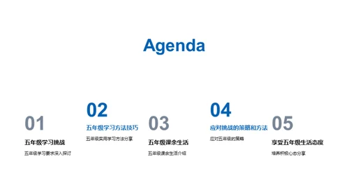 五年级生活掌控术