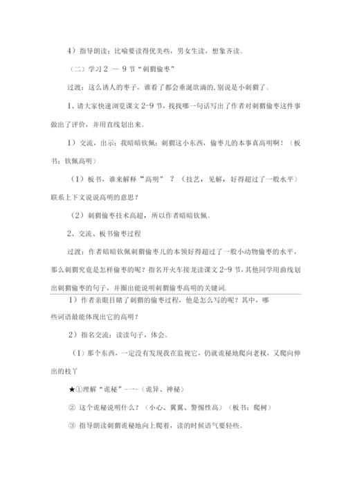 23.带刺的朋友(优质教案).docx