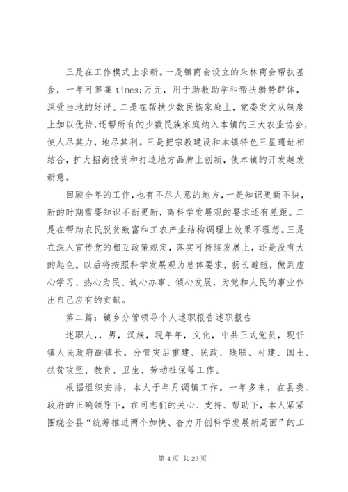 乡镇分管领导个人述职报告.docx