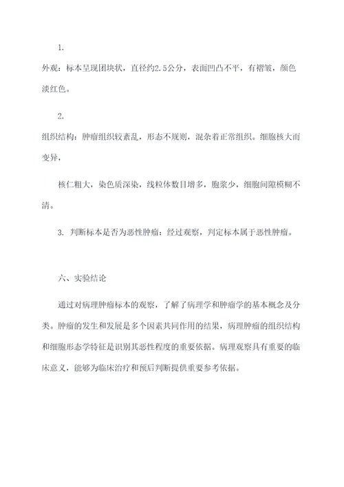 病理肿瘤预习实验报告