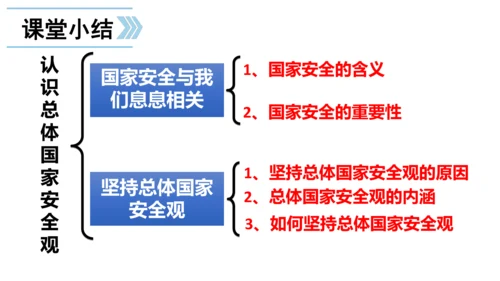 4.9.1 认识总体国家安全观