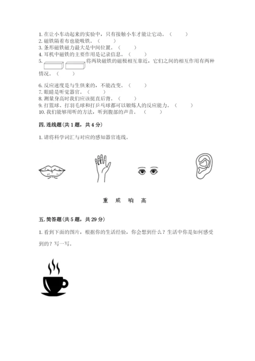 教科版小学科学二年级下册 期末测试卷及答案.docx