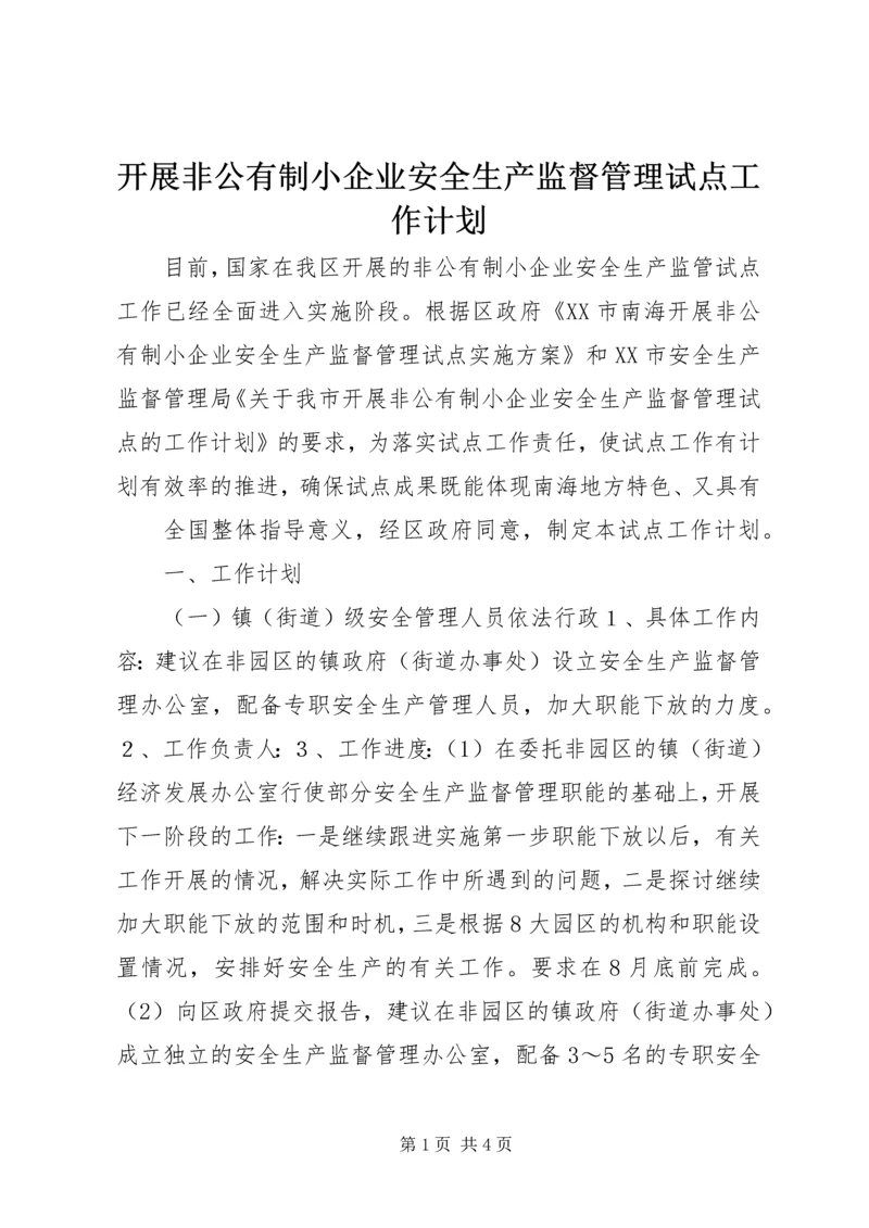 开展非公有制小企业安全生产监督管理试点工作计划 (9).docx