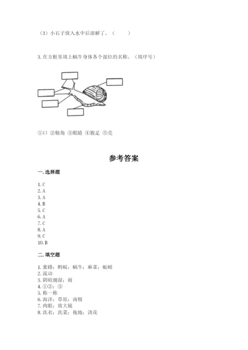 教科版一年级下册科学期末测试卷（达标题）.docx