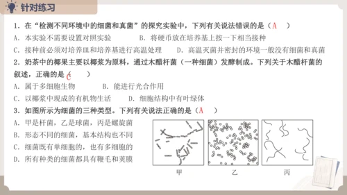 人教版生物八年级上册2.3 细菌、真菌和病毒 本章复习课件(共23张PPT)+视频素材
