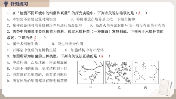 人教版生物八年级上册2.3 细菌、真菌和病毒 本章复习课件(共23张PPT)+视频素材