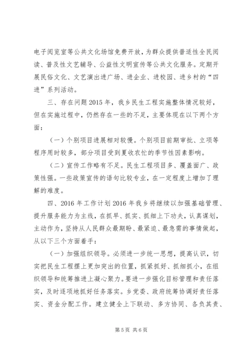 乡镇年度民生工程工作总结及工作计划.docx