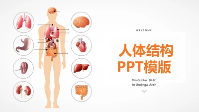 医疗医学人体结构动态PPT模板