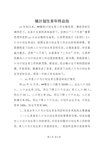 镇计划生育年终总结.docx