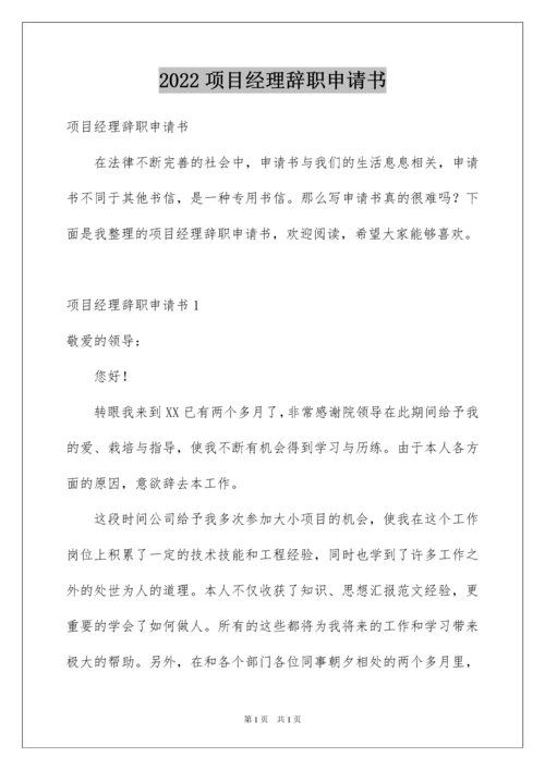 2022项目经理辞职申请书.docx