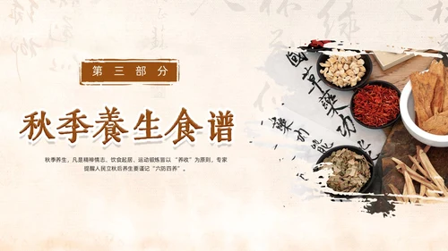 棕色简约中国风实拍笔刷秋季养生中医养生动态PPT
