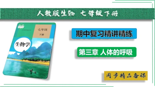 七年级下册 第三章 人体的呼吸【2023春人教七下生物期中期末复习课件】(共28张PPT)
